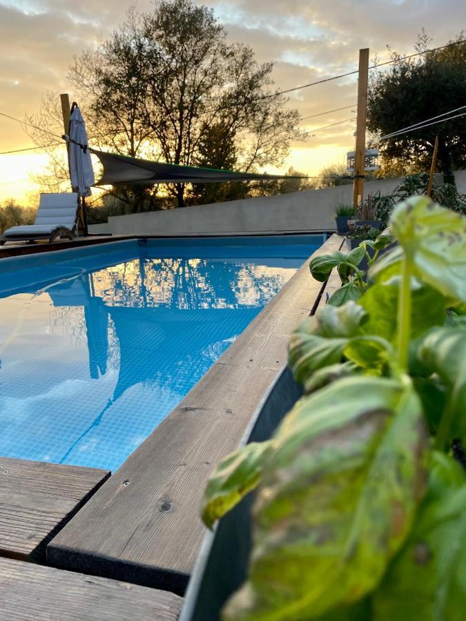 6 Personnes /piscine/campagne/terrain De Petanque/15 Km Bandol Le Beausset